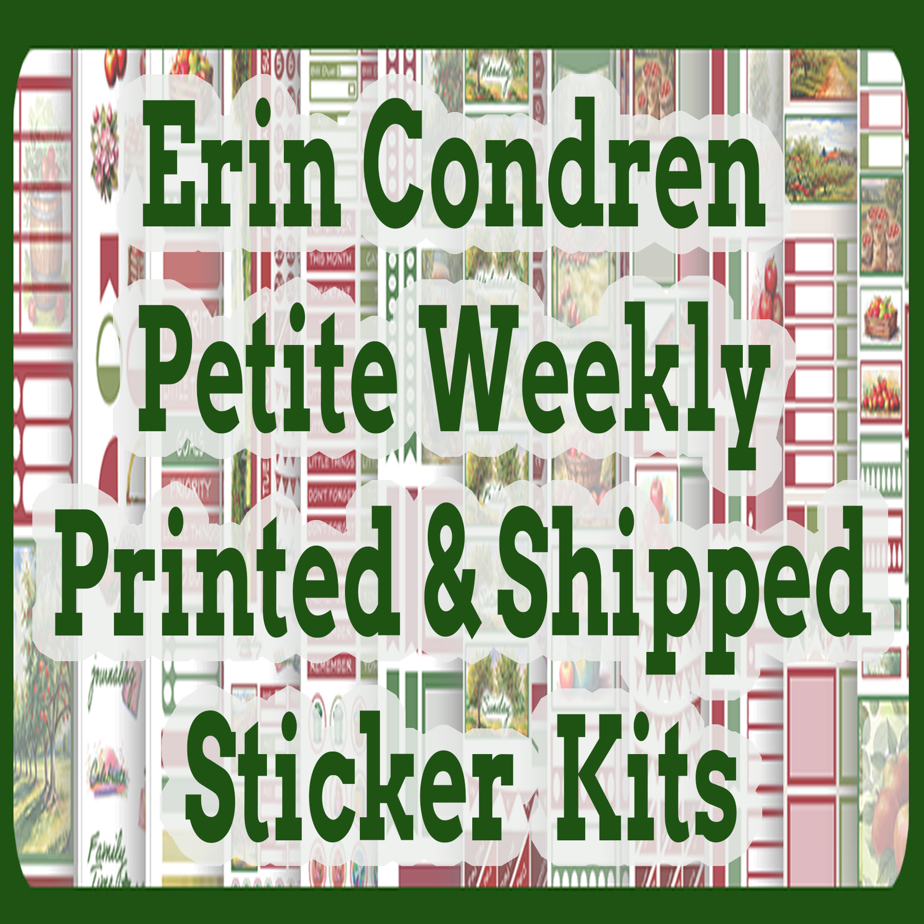 Erin Condren Petite Weekly Printed & Shipped Kits